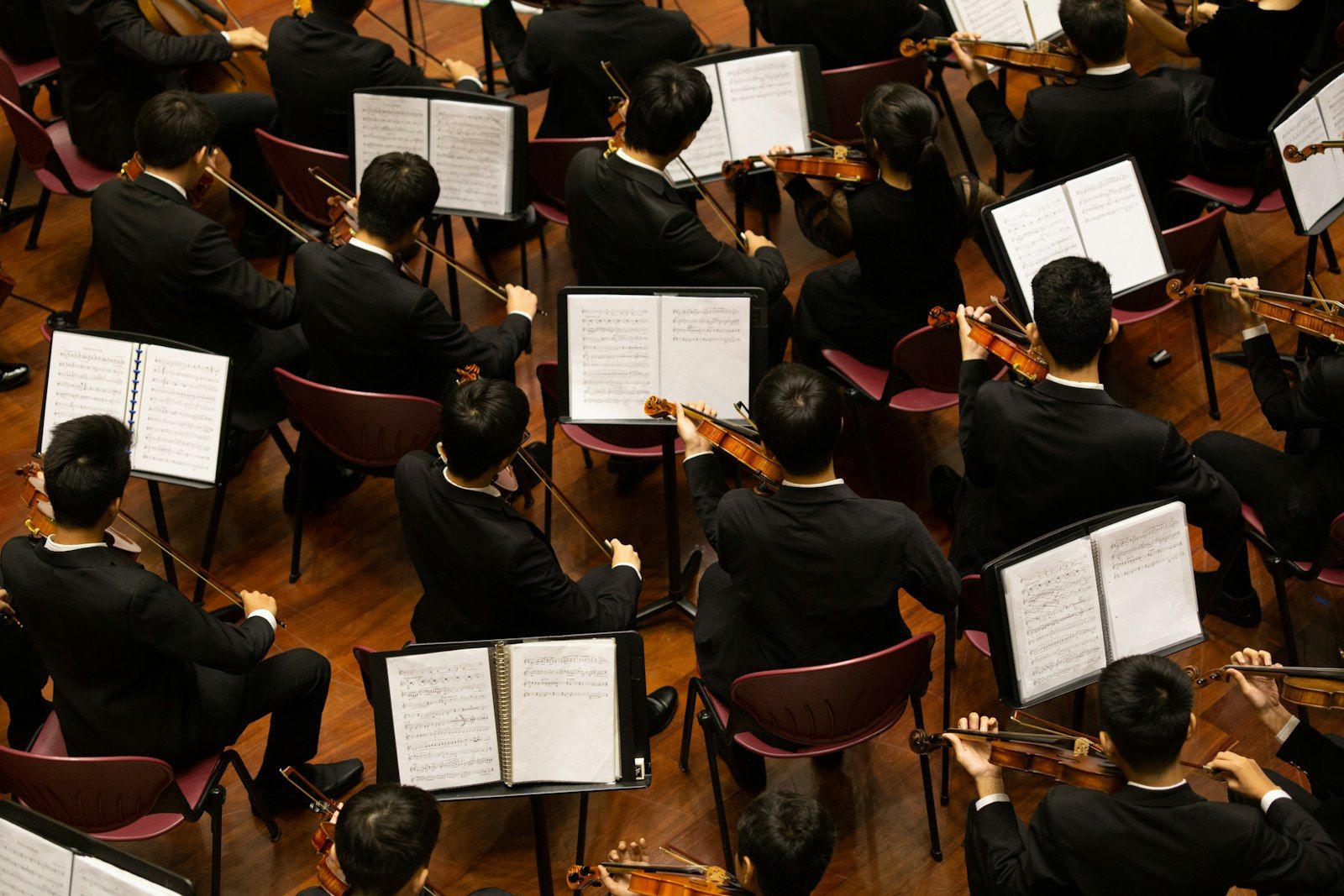 String musicians performing together in an orchestra — many players, one score